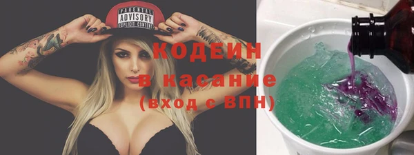 сатива Арсеньев