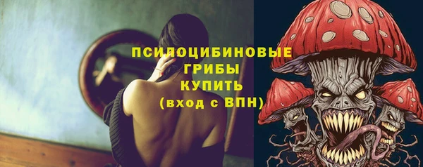 сатива Арсеньев