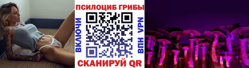 Псилоцибиновые грибы Magic Shrooms  Невинномысск 